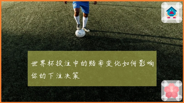 世界杯投注中的赔率变化如何影响你的下注决策