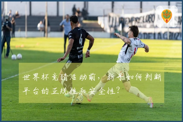 世界杯竞猜活动前，新手如何判断平台的正规性和安全性？