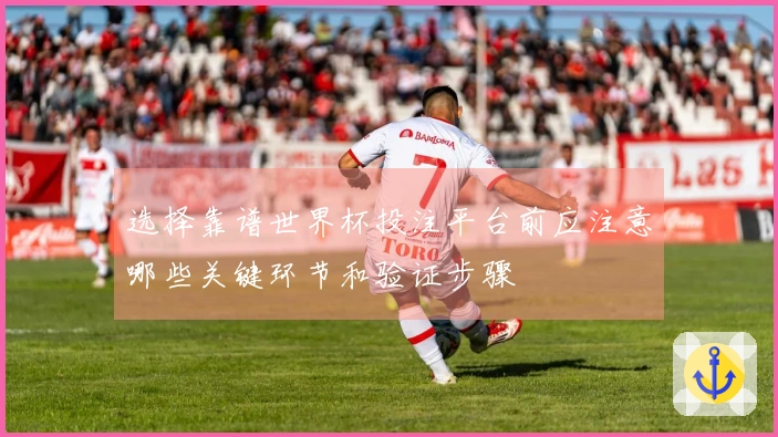 选择靠谱世界杯投注平台前应注意哪些关键环节和验证步骤
